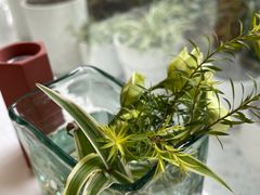 -春树下·树屋花房西餐厅(罍街AS1980店)