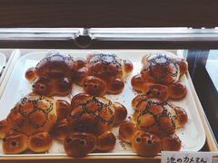 -帝戎(禾祥西路店)