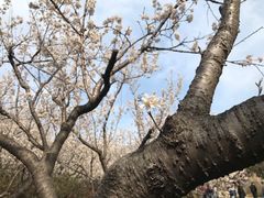 -渤公岛生态公园