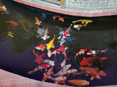 -侠成水上农庄(工业大道店)