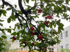 -番禺宾馆丽苑厅