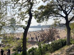 -青岛第二海水浴场