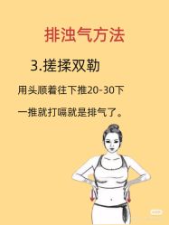 点击看大图 -玛莲朵·海菲秀冰珀科