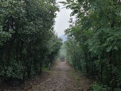 -缥缈峰景区