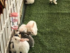 -保利国际影城(中环店)