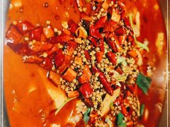 -宽口美蛙鱼头(大唐西市店)