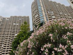 -碧桂园十里银滩