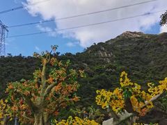 -黄腾峡天门悬廊