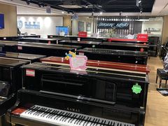 -柏斯音乐艺术中心·钢琴·吉他(上音店)