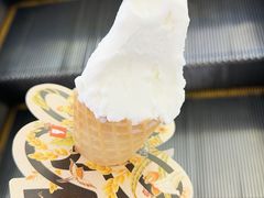 -野人先生Gelato(上海长宁龙之梦店)