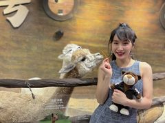 -上德宝骏宝马5S店