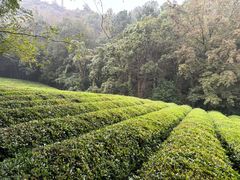 -敬亭山风景名胜区