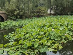 -北京民族园葉子里酒店(鸟巢店)