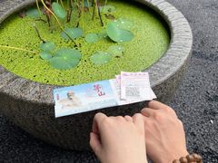 -句容茅山景区
