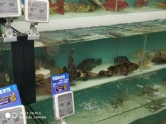 -盒马鲜生(宝地店)