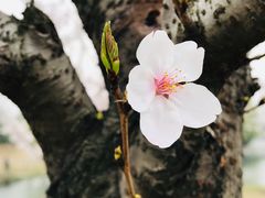 -同济大学(嘉定校区)