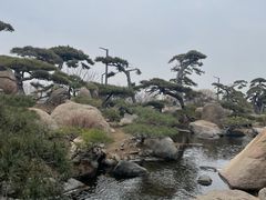 -罗红摄影艺术馆