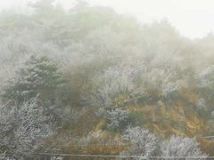 -秦岭风景区