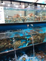 -东庭海鲜酒店(世茂广场店)