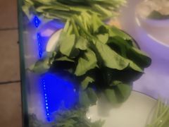 -人民公社大食堂(张家湾店)
