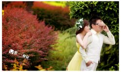 -唯一视觉婚纱摄影(李家村店)