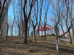 -大望京公园