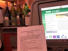 -巴塞罗那约瑟·塔拉德利亚斯-埃尔·普拉特机场