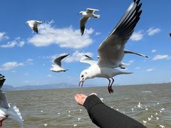 -捞渔河湿地公园