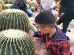 -南通洲际绿博园