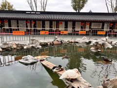 -龙华素斋(龙华路店)