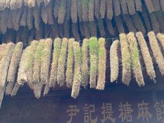 -恩阳古镇