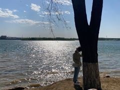-丁香湖公园