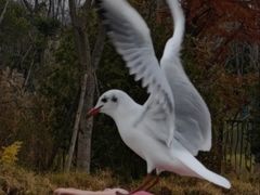 -呈贡滇池生态湿地公园