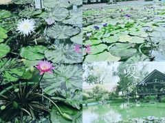 -静安公园(静安寺街道)