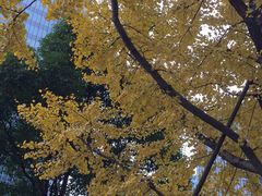 -ID.PHOTO照相馆(嘉里企业中心店)