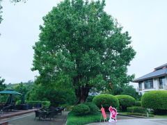 -福建鲤鱼洲酒店