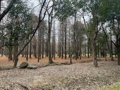 -蜀冈西峰生态公园