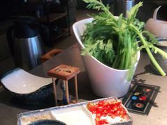 -同仁四季椰子鸡(宝安壹方城店)