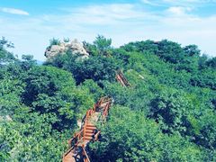 -大岭沟猕猴桃谷风景区