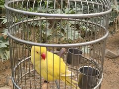 -南宫五洲植物乐园