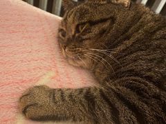 -云端咖啡私房店(河松街店)