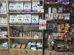 -中农大我爱我爱24h动物医院·中医针灸·猫专科·骨科医疗中心(双井店)