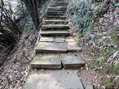 -杭州半山国家森林公园