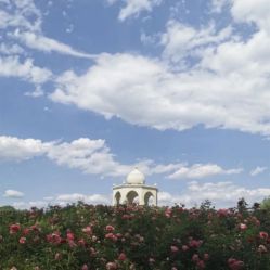 -萌宠亲子动物乐园(槐房万达店)