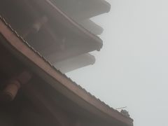 -缙云山景区