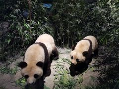 -长江文明馆
