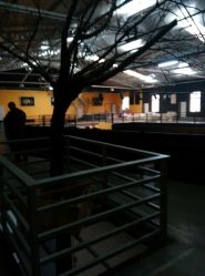 android_upload_pic-北京当代芭蕾舞团·艺术中心