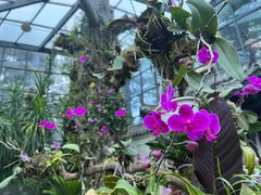 -东莞植物园