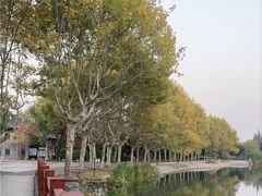 -泰州凤城河风景区-泰山公园