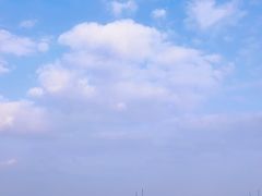 -贡湖湾湿地公园